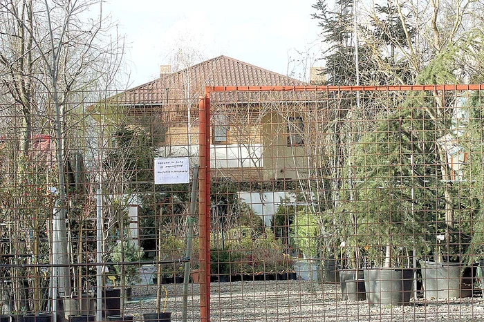 Locuieşte alături de familie în vila din Cartierul Ghencea