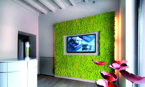 1 67977 original jpg jpeg