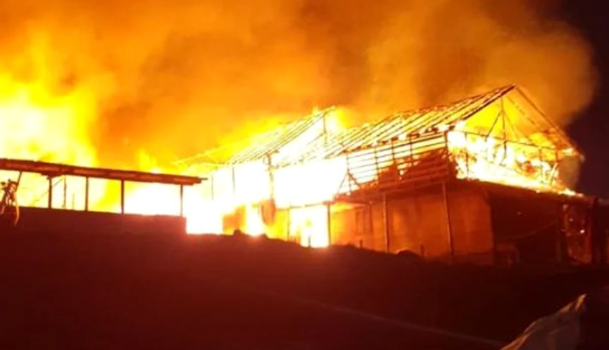 Aproape două sute de animale au murit în incendiu FOTO: Arhivă, Adevărul