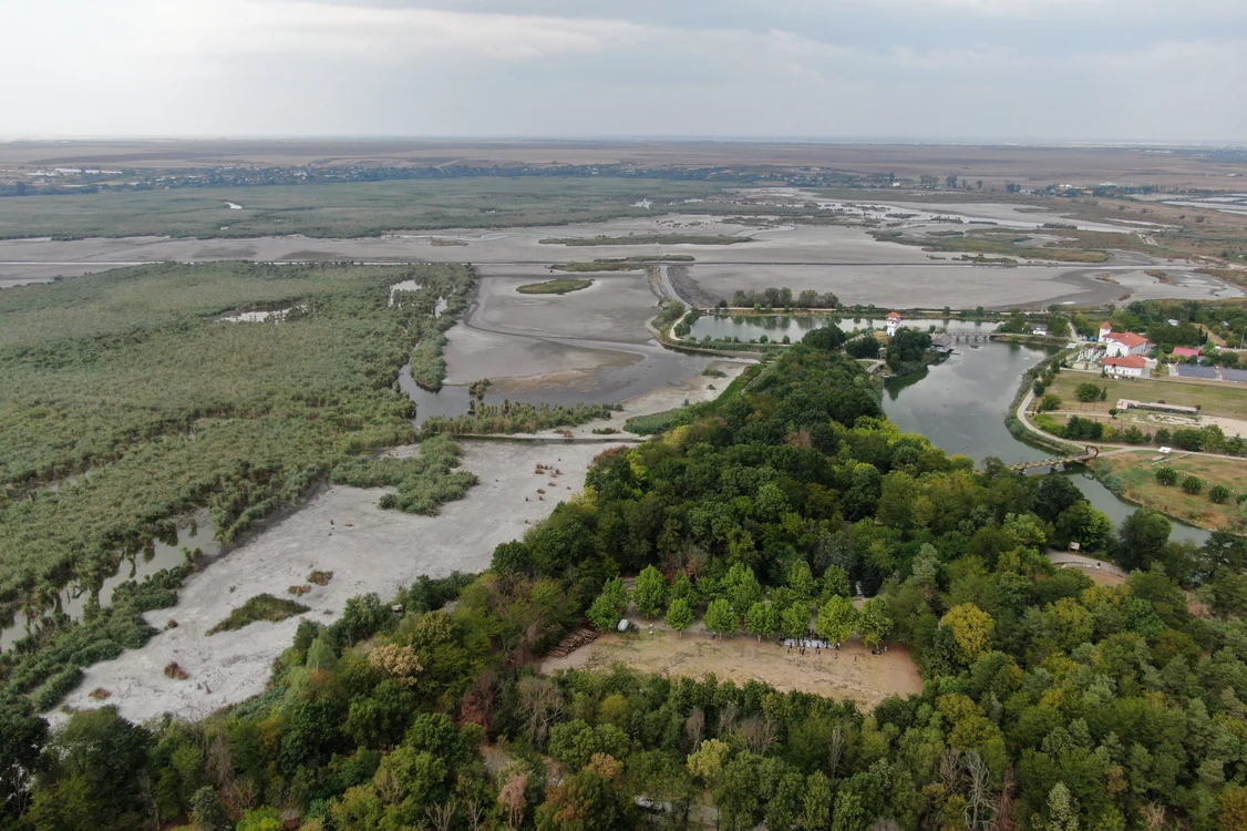 Delta Neajlovului afectată de secetă FOTO INQUAM Photos George Călin