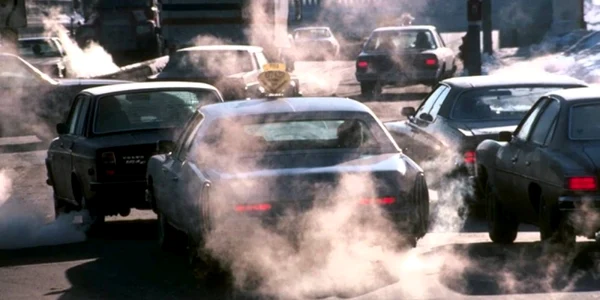 Rable în trafic FOTO C Crângan