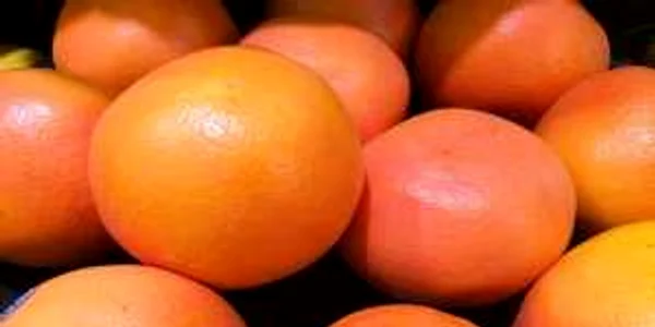 fructe
