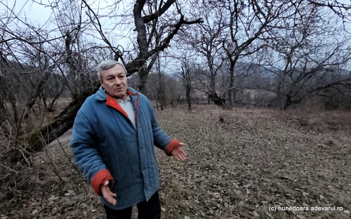 Valentin Satele Cutin și Dumbrava Foto Daniel Guță ADEVĂRUL (17) jpg