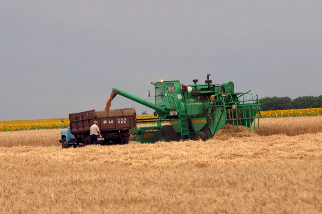 Ucraina se află în top 10 al exportatorilor de cereale