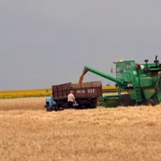 Ucraina se află în top 10 al exportatorilor de cereale