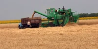 Ucraina se află în top 10 al exportatorilor de cereale