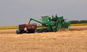 Ucraina se află în top 10 al exportatorilor de cereale