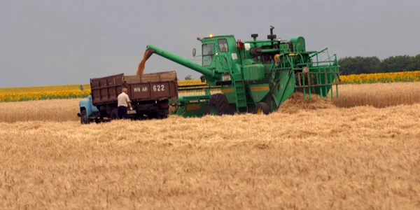 Ucraina se află în top 10 al exportatorilor de cereale