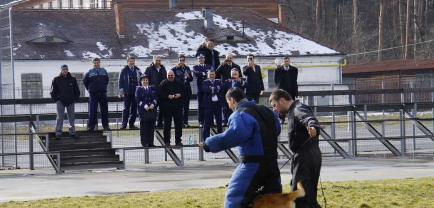 Demonstraţie de dresaj la Centrul Chinologic, pentru musafiri