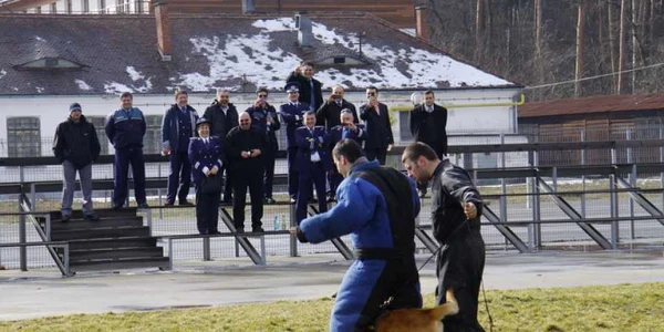 Demonstraţie de dresaj la Centrul Chinologic, pentru musafiri