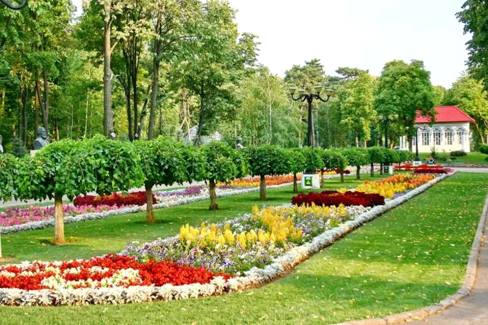 Parcul Copou din Vaslui este unul dintre cele mai frumoase din ţară FOTO