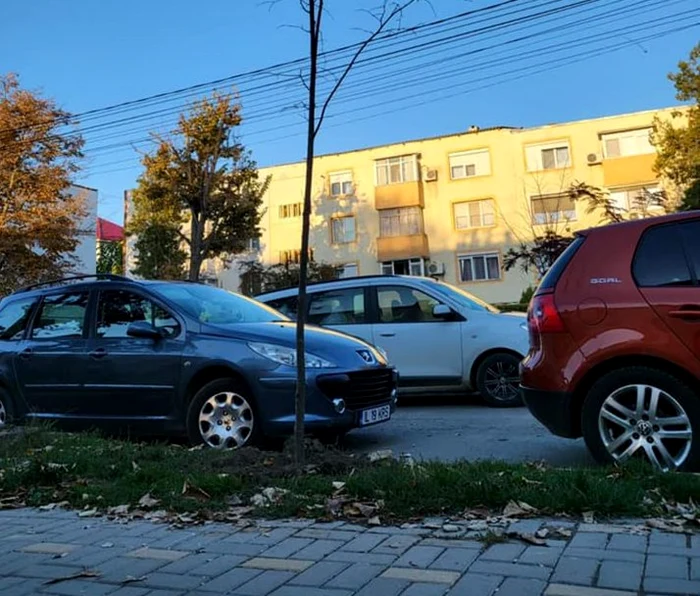 Primăria din Feteşti are sediul într-o scară de bloc FOTO Facebook/PMF