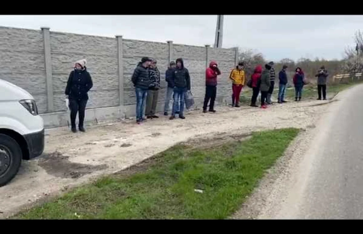 ca pestii in microbuz