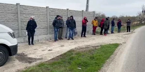 ca pestii in microbuz