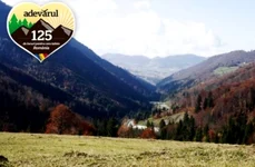 Secretele Drumului Romanilor din Munţii Bârgăului  Ce frumuseţi dezvăluie vechiul drum pietruit jpeg