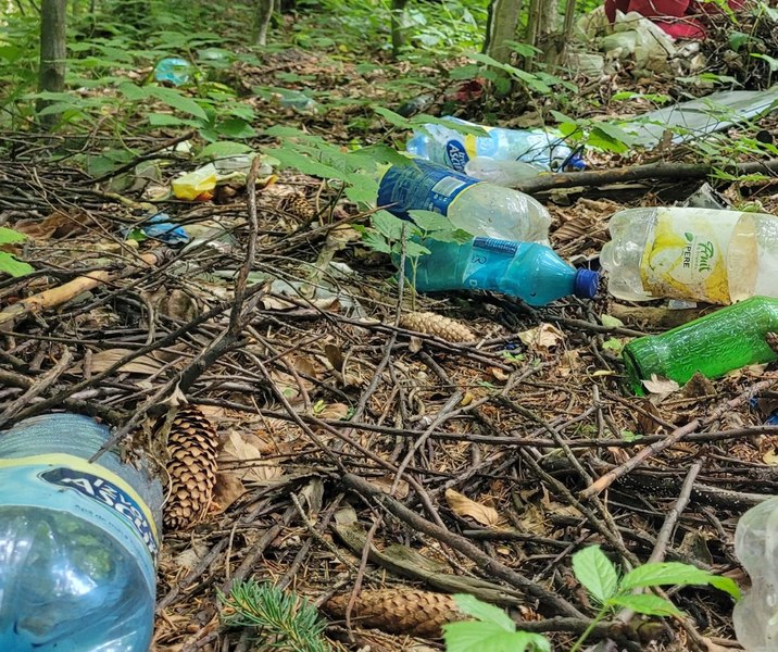 Plasticul din natură au devenit o problemă majoră în România. 40% din români cer sancțiuni mai aspre
