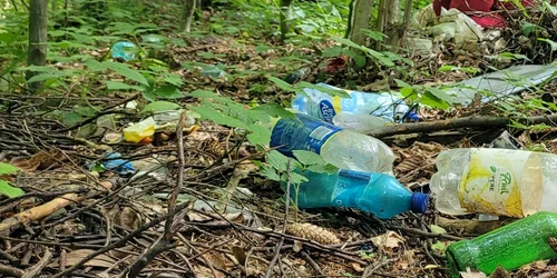 deseuri sticle plastic natura jpg