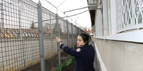 penitenciarul ploieşti foto diana frincu