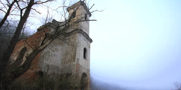 cincis 