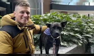 Un australian și-a tratat câinele bolnav de cancer cu un vaccin creat cu ajutorul ChatGPT FOTO Facebook