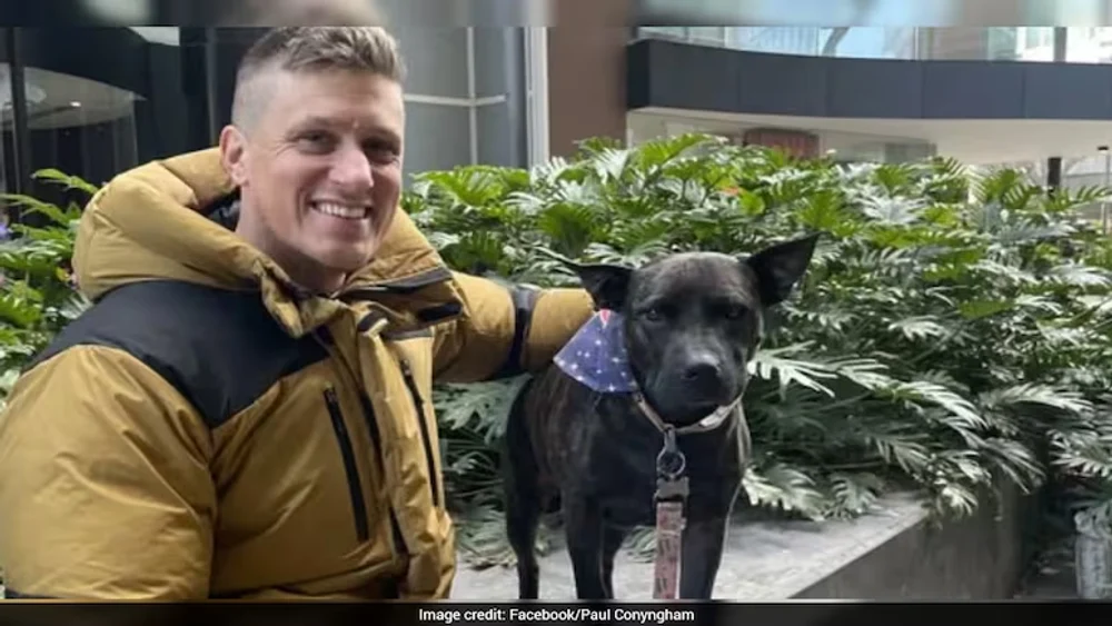 Un australian și-a tratat câinele bolnav de cancer cu un vaccin creat cu ajutorul ChatGPT