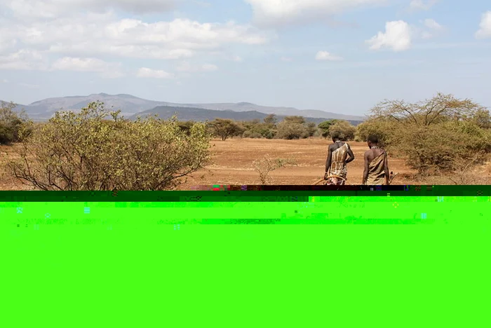 Supravieţuirea populaţiei Hadza depinde de cooperarea între membrii grupului. FOTO: Andreas Lederer