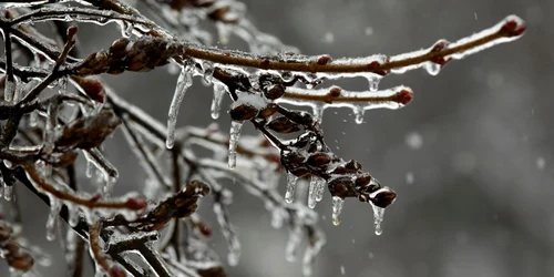 freezing rain