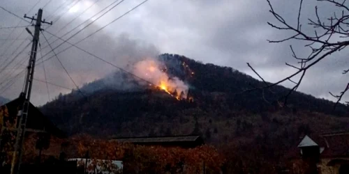 incendiu padure bacau oitux foto isu bacau