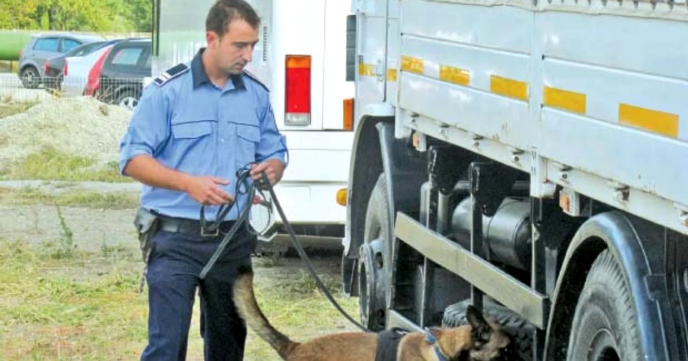 Cei doi străini au fost găsiţi ascunşi în remorca unui tir. FOTOArhivă.