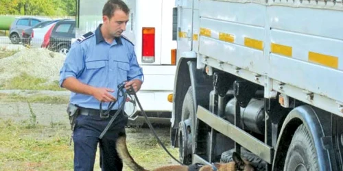 Câinele poliţist Thor  a fost campion la mirosit imigranţi ilegali