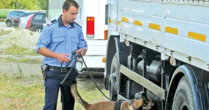 Câinele poliţist Thor  a fost campion la mirosit imigranţi ilegali