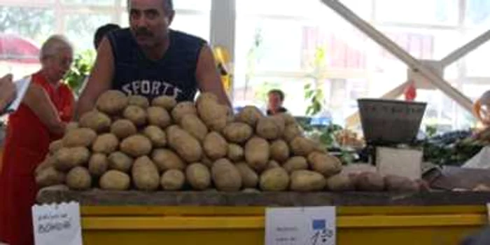 Galati: Cartofi şi fructe, pe tichete de masă