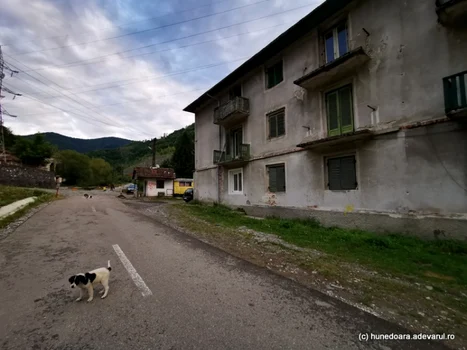 baota plai fosta colonie miniera foto daniel guta adevarul