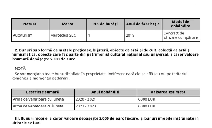 Arme Simona Bucura Oprescu FOTO CDEP declaratie de avere jpg