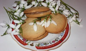 CLIIMA20120508 0043 1 jpeg