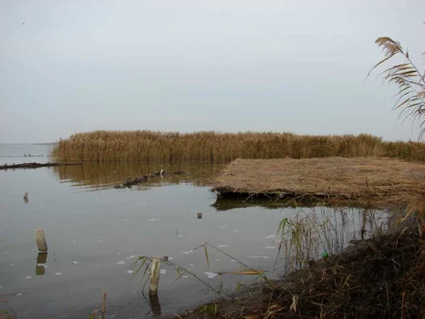 intretinere zone cuibarit tulcea arbdd