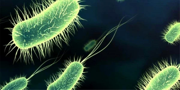toxine