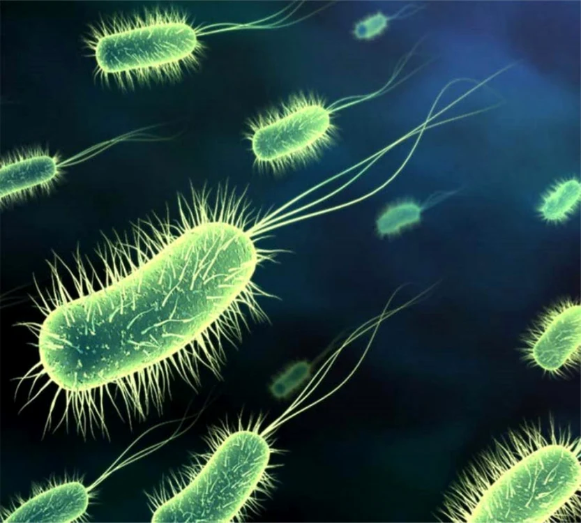 Starea de oboseală poate apărea din cauza acumulării de toxine în corp