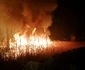 Incendiu vegetaţie la vărsarea Olăneştiului în Olt - în municipiul Râmnicu Vâlcea Foto ISU Vâlcea