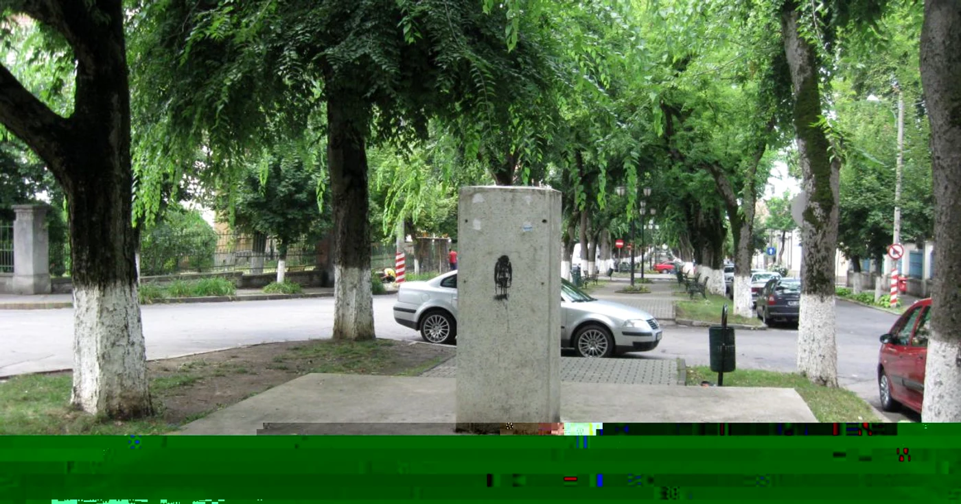 Amplasarea statuii generalului Guşă naşte dispute aprinse