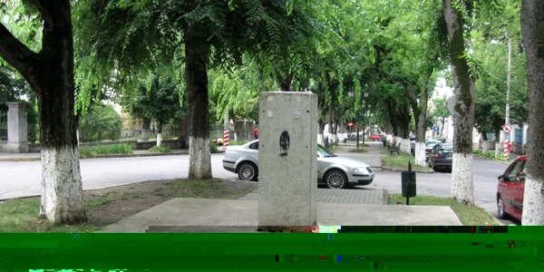 Amplasarea statuii generalului Guşă naşte dispute aprinse