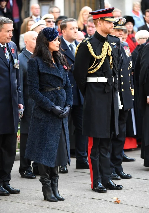 6 profimedia 0481559761 jpg jpeg