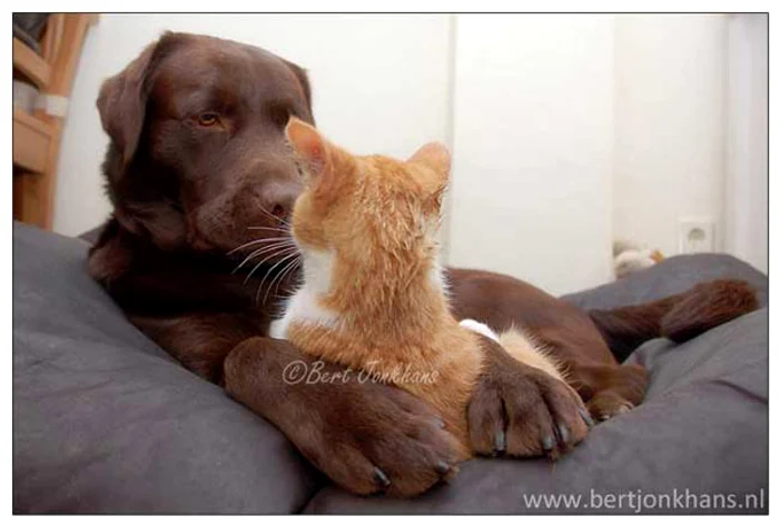 Hannes şi Hessel (Foto: Bert Jonkhans)