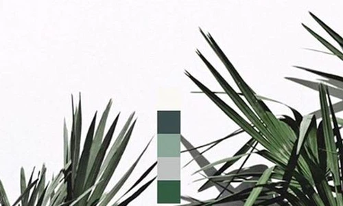 1 71676 original jpg jpeg