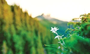 9 timp liber1  2col foto gabi mireanu jpeg