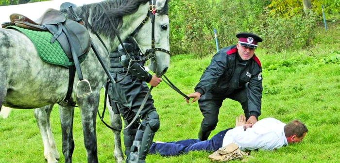 La Poliţia Locală din Tîrgu-Mureş sunt angajaţi doi cai şi patru câini FOTO: Arhivă