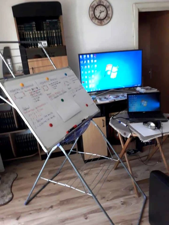 lectii online magda dinescu