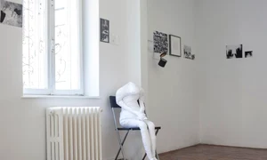 „Cum am devenit subiectul istoriei, şi nu obiectul ei“ interviu cu Lia PERJOVSCHI jpeg