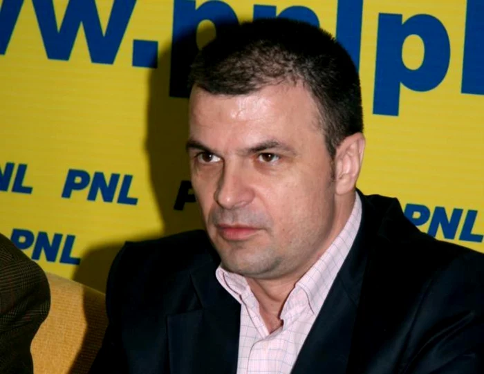Mircea Roșca, deputat PNL