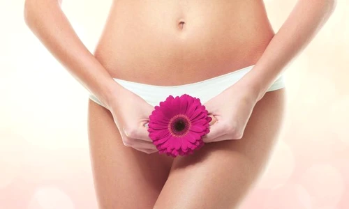 1 shutterstock 570204082 jpg jpeg